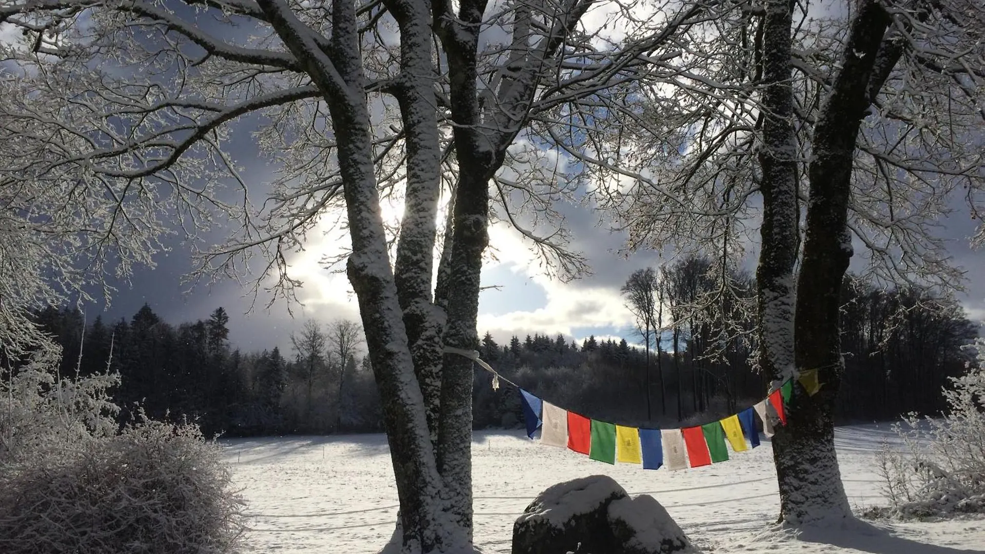 Landguet Ried - Center For Mindful Living Hotel Koniz Switzerland